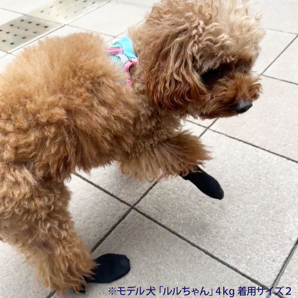 FANTASY WORLD 犬 ドッグブーツ 8 大型犬用 靴 シューズ ペット
