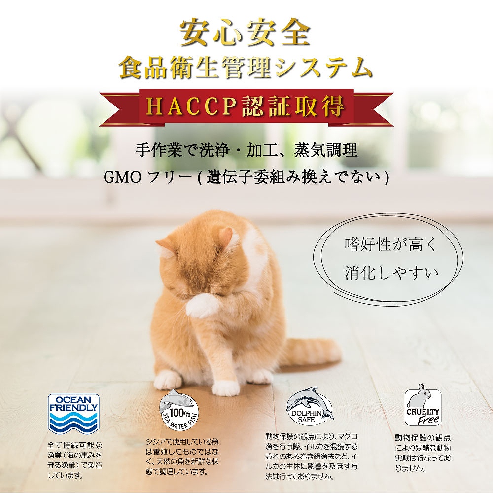 キャットフード ウェット 成猫用 シシア 「ツナ キヌア」 85g Schesir 缶詰 無添加 無着色 | シシア | 02