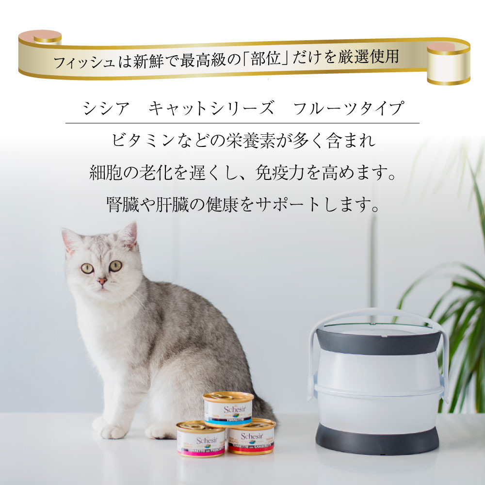 キャットフード　ウェット 成猫用 シシア ツナ＆キウイ 75g  Schesir 缶詰 無添加 無着色 | シシア | 03