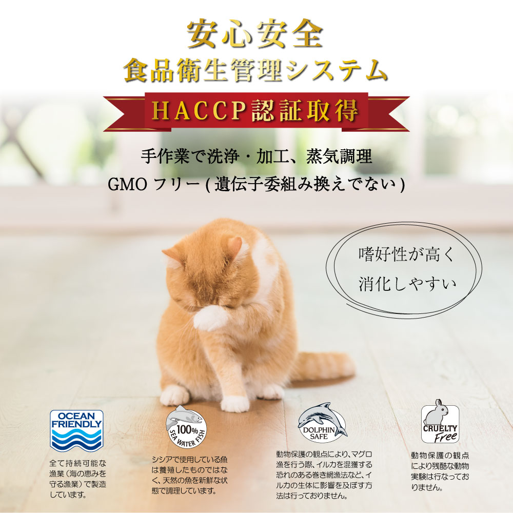 キャットフード　ウェット 成猫用 シシア ツナ＆アロエ 85g Schesir 缶詰 無添加 無着色 | シシア | 02