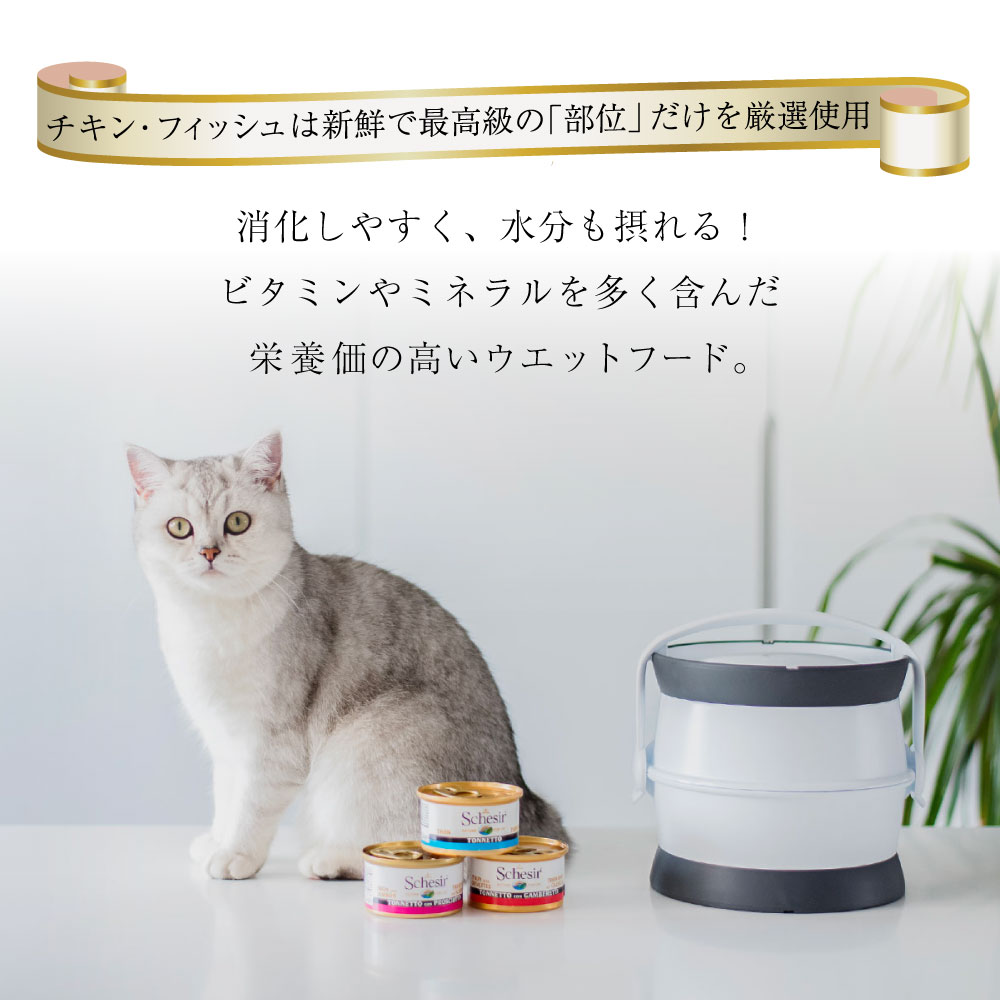 キャットフード　ウェット 成猫用 シシア サーモン 85g Schesir 缶詰 無添加 無着色 | シシア | 03