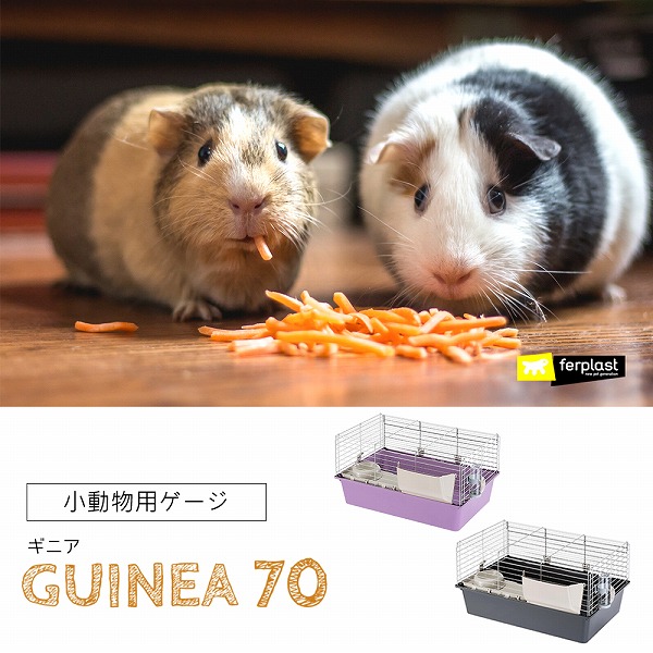 モルモット様 お取り置き 61EnKpd6OrL._UF350,350_QL50_.jpg