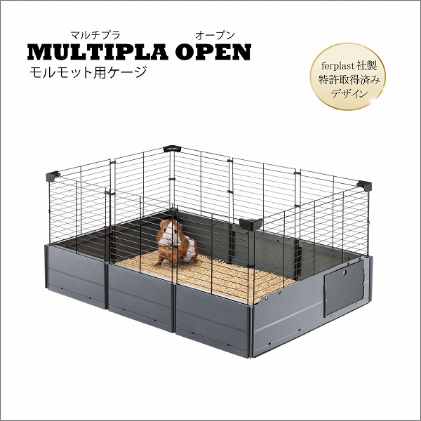 ファープラスト イビザオープン 鳥かご イビザ オープン〜Ibiza Open〜 – ファンタジーワールド