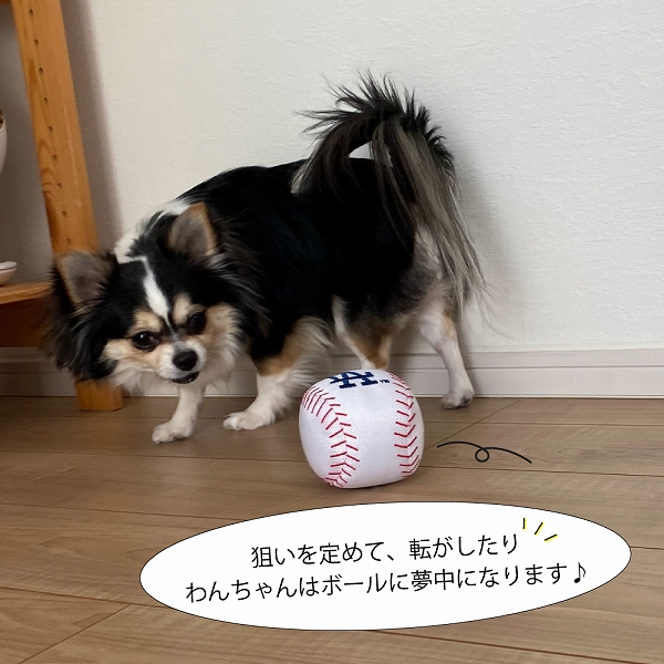 MLB公式 ロサンゼルス ドジャース 大谷翔平選手モデル 犬 ベースボールトイ おもちゃ 野球  Los Angeles Dodgers ペット｜fantasyworld｜04