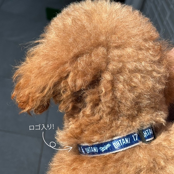 MLB公式 ロサンゼルス ドジャース 大谷翔平選手モデル 犬 首輪 カラー Sサイズ 野球  Los Angeles Dodgers ペット｜fantasyworld｜04