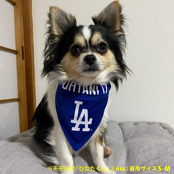 MLB公式 ロサンゼルス ドジャース 大谷翔平選手モデル リバーシブルバンダナ 野球 犬 Ｓ−Ｌサイズ  Los Angeles Dodgers ペット｜fantasyworld｜03