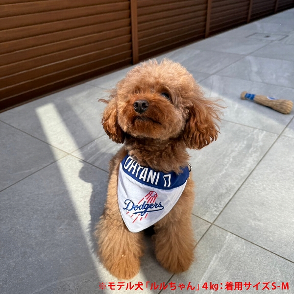 MLB公式 ロサンゼルス ドジャース 大谷翔平選手モデル リバーシブルバンダナ 野球 犬 L-XLサイズ  Los Angeles Dodgers ペット｜fantasyworld｜04