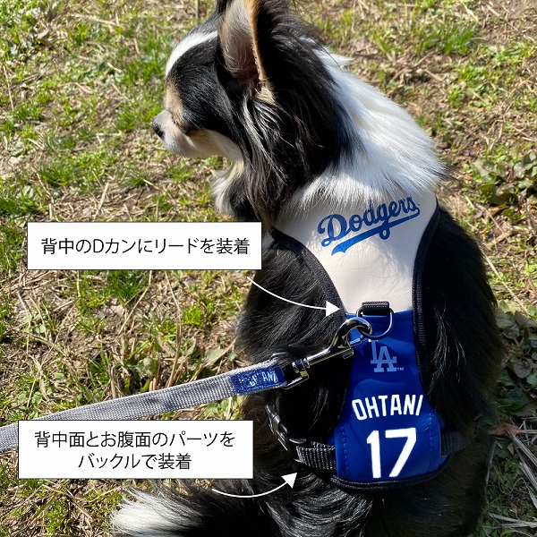MLB公式 ロサンゼルス ドジャース 大谷翔平選手モデル 犬 ハーネス Sサイズ 野球  Los Angeles Dodgers ペット｜fantasyworld｜02