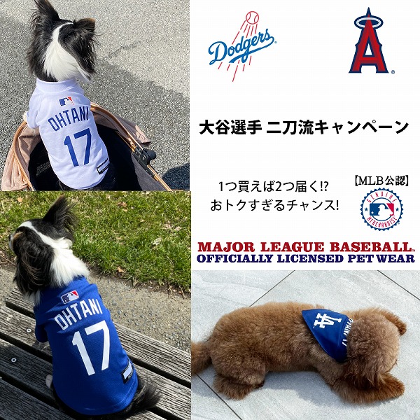 12͂!? JI 񓁗Ly[I MLB  hW[X JĕI胂f W[W TVc o_i