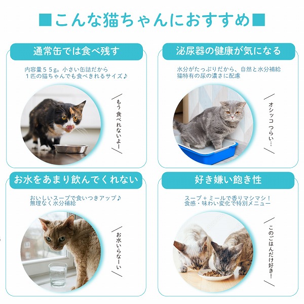 【選べる4種類】 猫用スープ シグネチャー7 ハイドレーション ミールトッパー 55g 関連画像2
