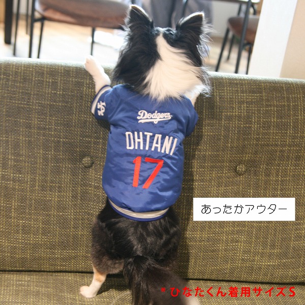 FANTASY WORLD（ファンタジーワールド） 【6サイズ】MLB公式