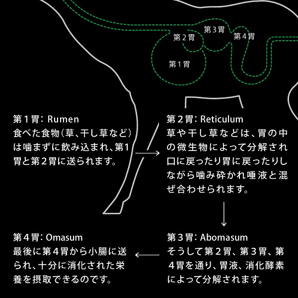 ドライフード ワイルドカット フリーズドライ 選べる2種 猫 総合栄養食 ニュートライプ  280ｇ | NUTRIPE | 03