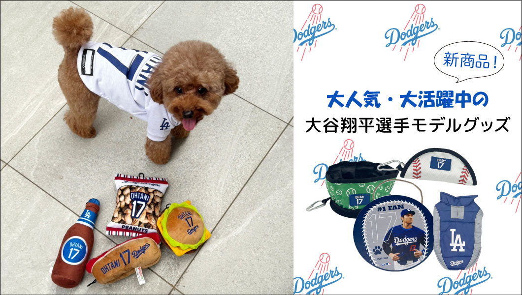 大谷翔平選手モデル