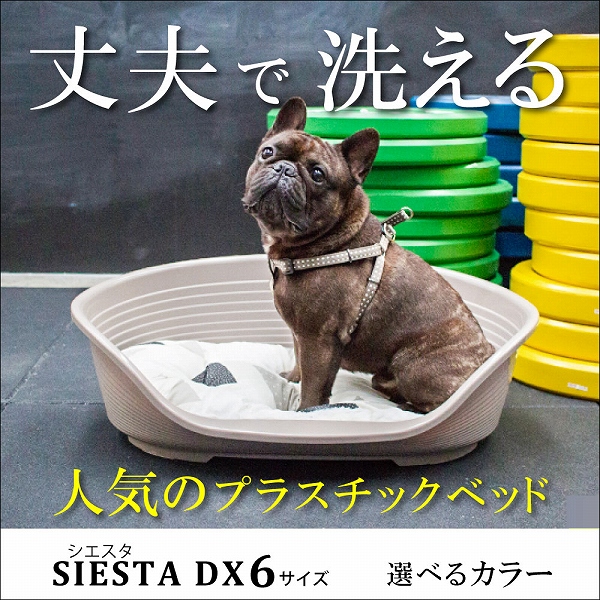 犬 猫 ベッド 洗える シエスタ SIESTA DX 6 ペット用 寝具 丈夫 頑丈 ペット壊れない 耐久性 オールシーズン イタリアferplast社 ファープラスト 関連画像1