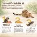 NEW 選べる3種類 シシア スープ パウチ 40g 一般食 キャットフード Schesir 関連画像1