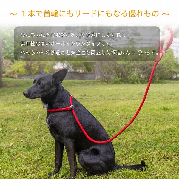 【2サイズ・5カラー】 SPORT GC スポーツ ハーフチョーク リード 犬 しつけ りーど  散歩用品 お出かけ お散歩グッズ  イタリアferplast社製 | ferplast | 12