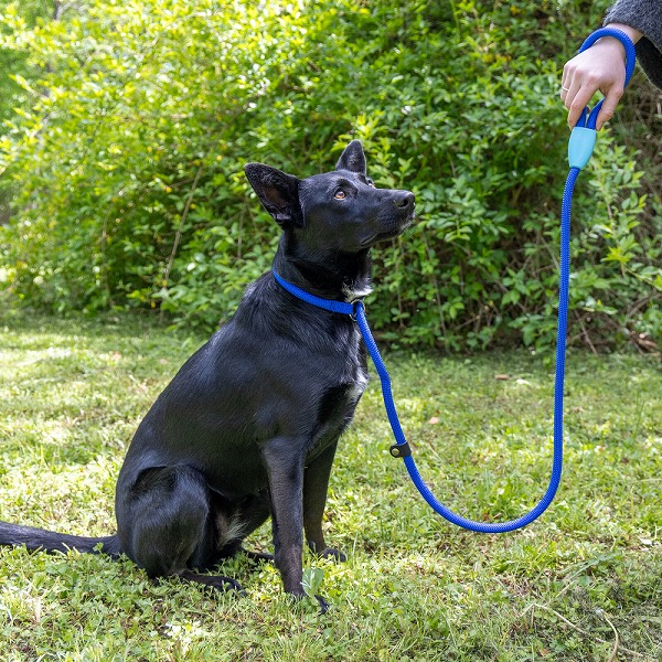 【2サイズ・5カラー】 SPORT GC スポーツ ハーフチョーク リード 犬 しつけ りーど  散歩用品 お出かけ お散歩グッズ  イタリアferplast社製 | ferplast | 17