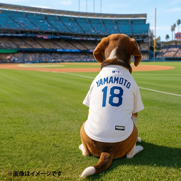 FANTASY WORLD（ファンタジーワールド） 【限定個数発売】MLB公式