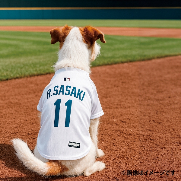 FANTASY WORLD（ファンタジーワールド） 【限定個数発売】MLB公式