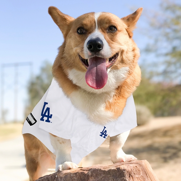 FANTASY WORLD（ファンタジーワールド） 【限定個数発売】MLB公式