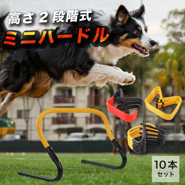 2way ミニハードル ドッグアジリティ ミニ ハードル 2段 10台 23cm
