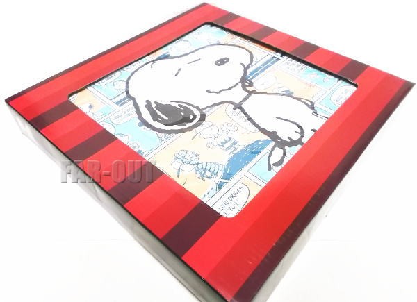 ピーナッツ スヌーピー キャンバス アート PEANUTS : FAR-OUT