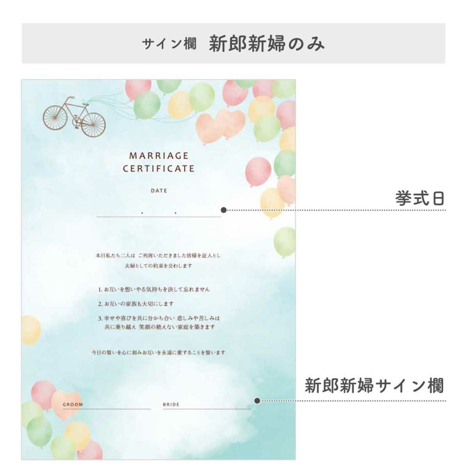 mc-bicycle-image11.jpg