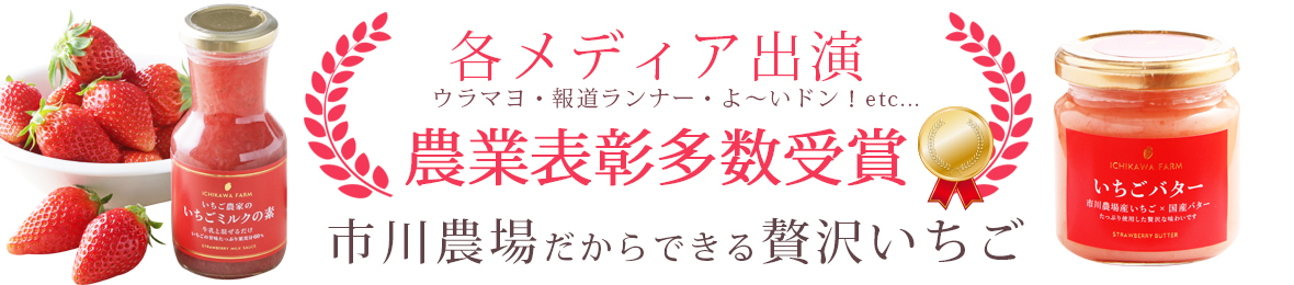 株式会社市川農場 ヘッダー画像