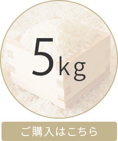 米 ミルキークイーン 10kg 令和5年 米 送料無料 お米 玄米 白米 精米無料 農家直送 近江米 滋賀県産