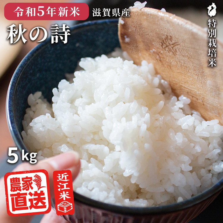 米 秋の詩 5kg 令和5年 米 お米 玄米 白米 精米無料 農家直送 近江米 滋賀県産 特別栽培米