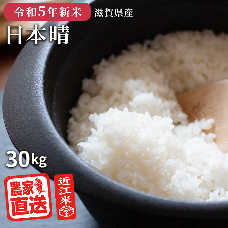 米 日本晴れ 30kg 令和5年 米 お米 玄米 白米 精米無料 農家直送 近江米 滋賀県産