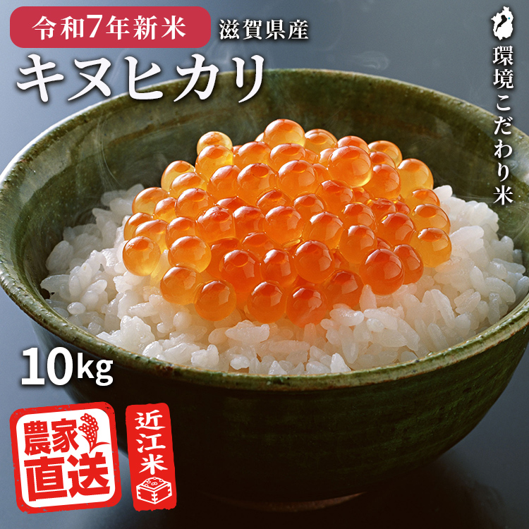 滋賀県産 キヌヒカリ」の人気商品一覧 | 安い商品を通販サイト