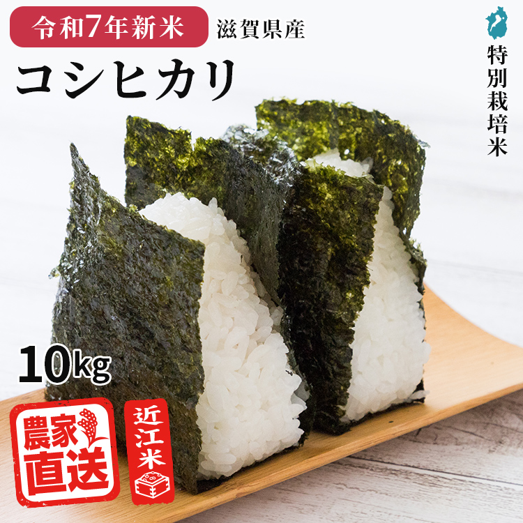 10kg 近江米」の人気商品一覧 | 安い商品を通販サイトから探す