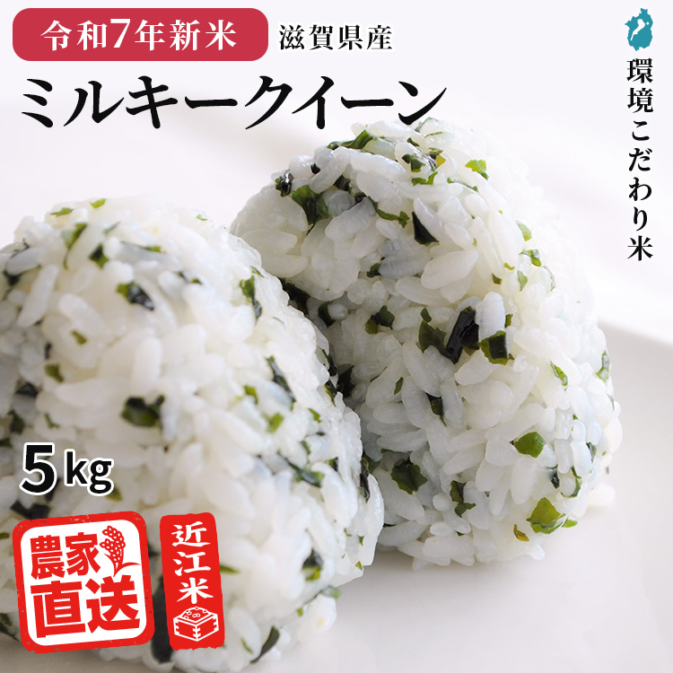 滋賀県産 ミルキークイーン」の人気商品一覧 | 安い商品を通販