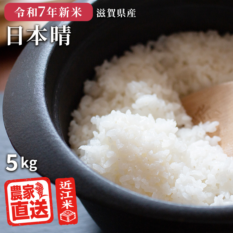 白米 日本晴」の人気商品一覧 | 安い商品を通販サイトから探す