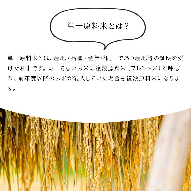 米 日本晴れ 2kg 令和5年 米 送料無料 お米 玄米 白米 精米無料 農家