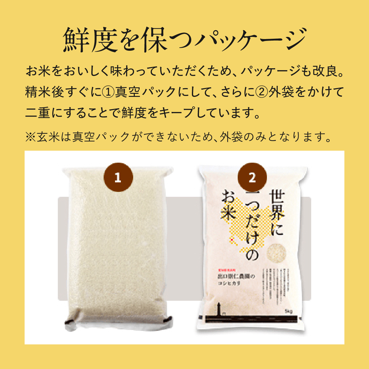 無農薬 米 10kg 令和5年度産 コシヒカリ 出口崇仁農園 世界に一つだけ