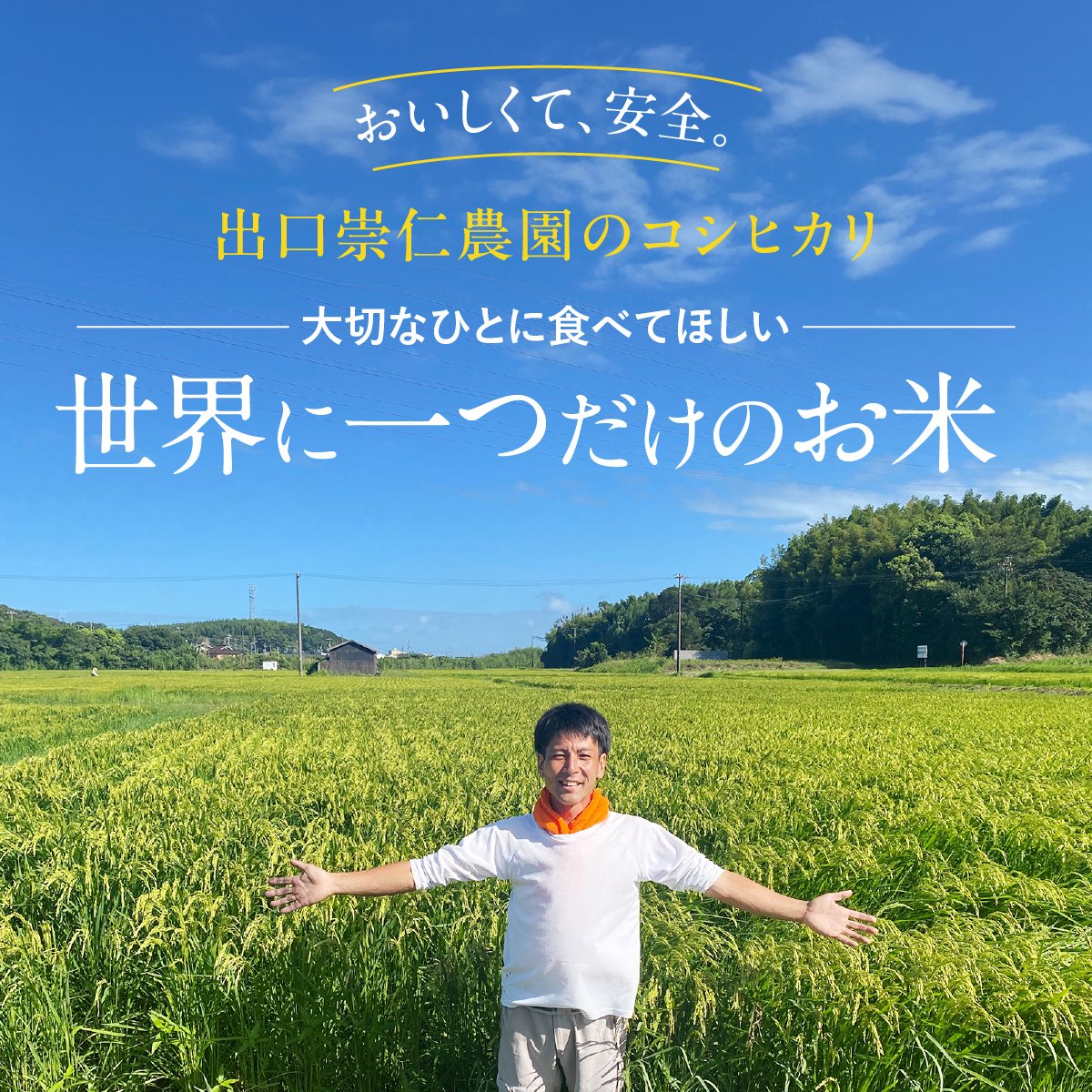 無農薬 米 10kg 令和5年度産 コシヒカリ 出口崇仁農園 世界に一つだけ