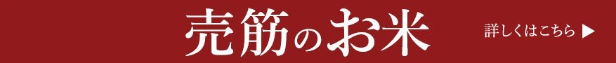 キャンペーン！売筋商品