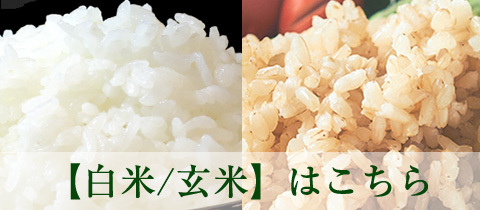 白米/玄米