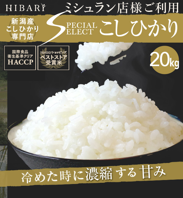 米 白米 20kg 令和4年産 岩船産こしひかり HIBARI 5kg×4袋 玄米 選択可 希少米 お米 産地限定 スペシャルセレクト コシヒカリ