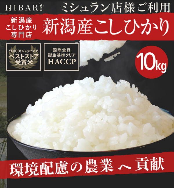 今月限定／特別大特価 米 お米 10kg 新潟県産コシヒカリ HIBARI 令和