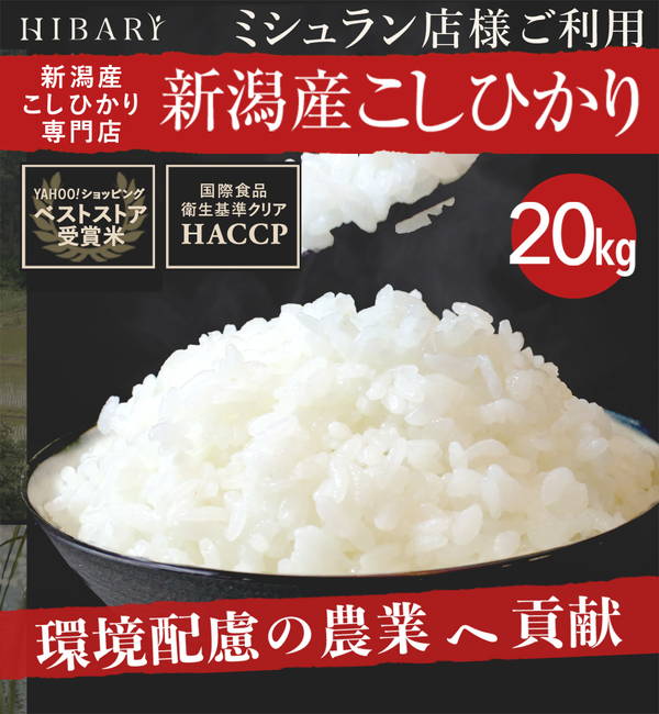 精米済み 20キロ 新潟県産こしいぶき 特別栽培米 4年産 低温冷蔵