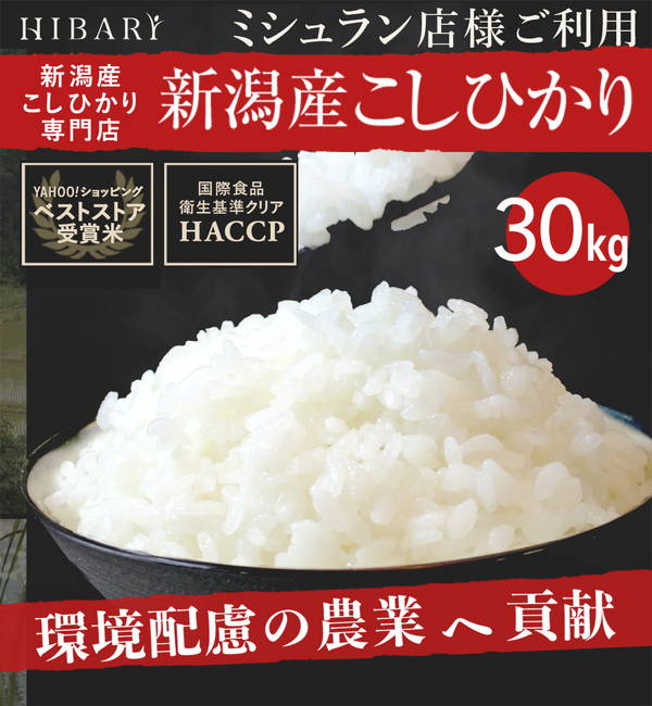 ランキング総合1位 米 白米 30kg 令和4年産 新潟県産コシヒカリ HIBARI