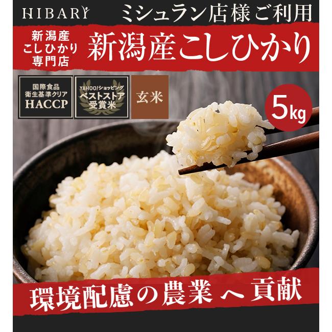 卸売り 米 玄米 5kg 令和4年産 新潟県産コシヒカリ HIBARI ミシュラン店様