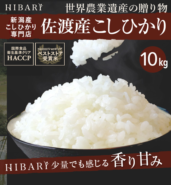 高品質】 米 白米 10kg 令和4年産 佐渡産こしひかり HIBARI 5kg×2