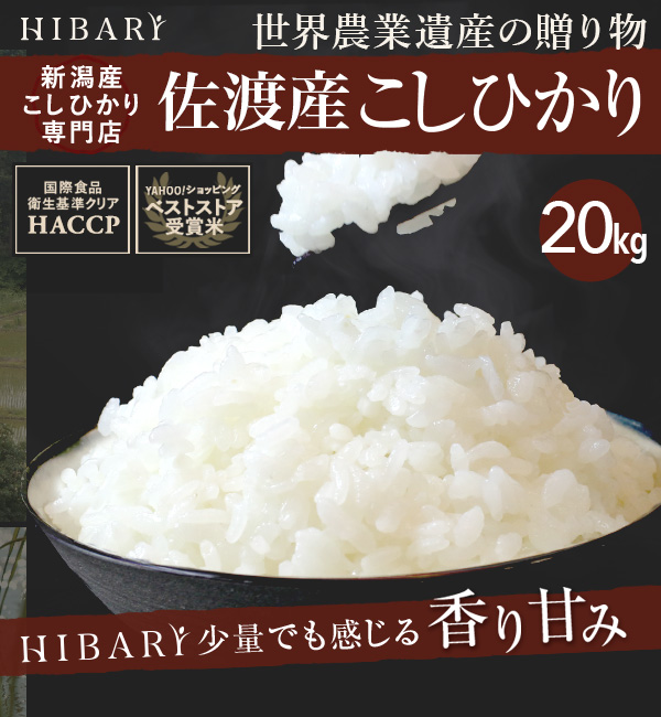 米 白米 20kg 令和4年産 佐渡産こしひかり HIBARI 5kg×4袋 希少米 お米 産地限定 スペシャルセレクト コシヒカリ ひばり