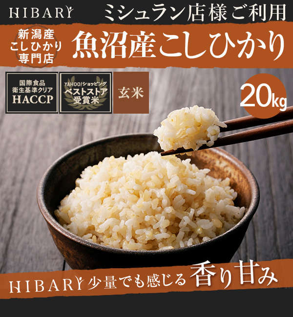 新米】 米 玄米 20kg 令和5年産 魚沼産コシヒカリ HIBARI 5kg×4袋