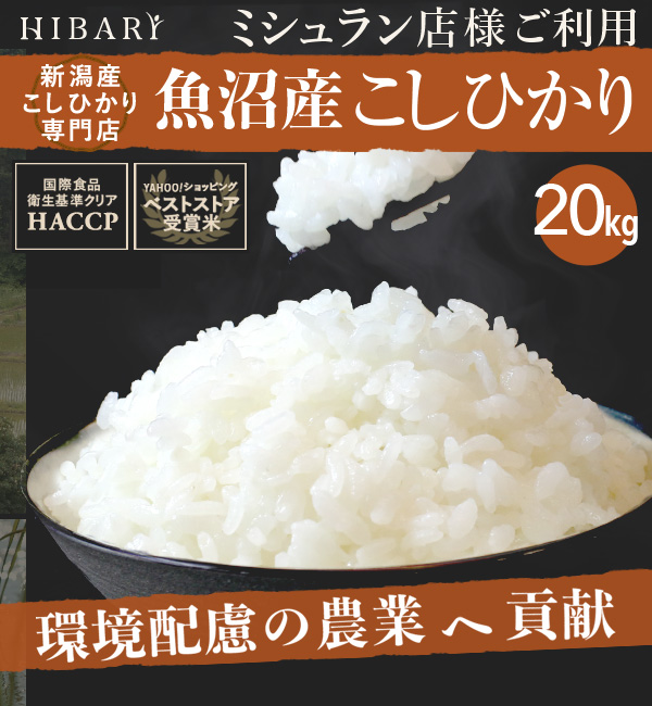 米 白米 20kg 令和5年産 魚沼産コシヒカリ HIBARI 5kg×4袋 環境に配慮したプレミアム米 ミシュラン店様御用達米 自然に優しいお米