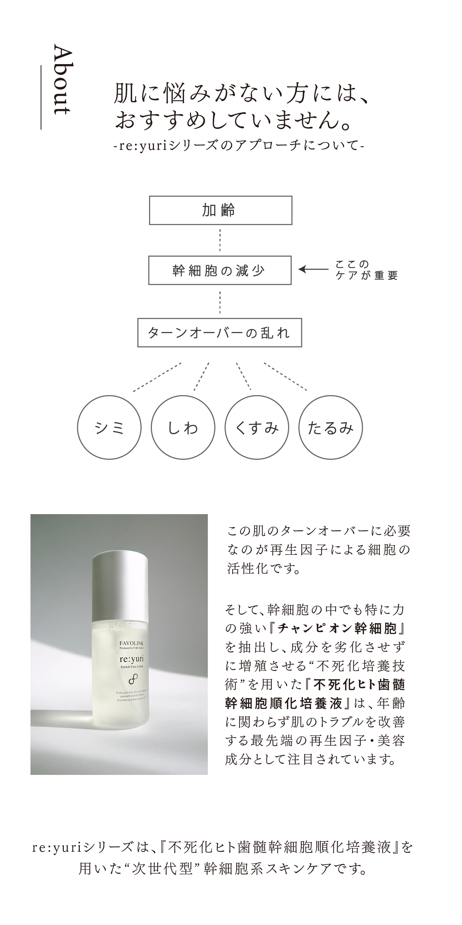 安井友梨 監修 re:yuri（リユリ）不死化歯髄幹細胞培養液配合 美容液 FAVOLINK produced by YURI YASUI： re:yuri（不死化歯髄幹細胞